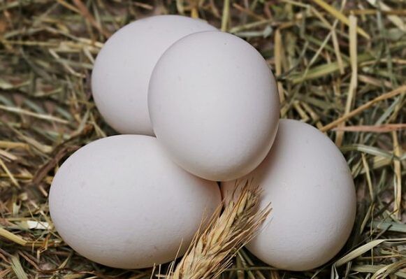 鸡蛋饮食包括每天吃鸡蛋。